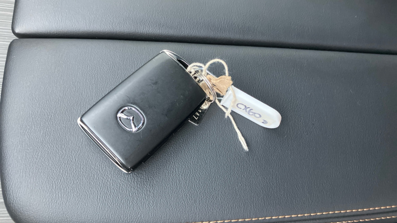 Mazda CX-60 3.3d 254 Homura Plus 5dr Auto AWD Diesel Estate